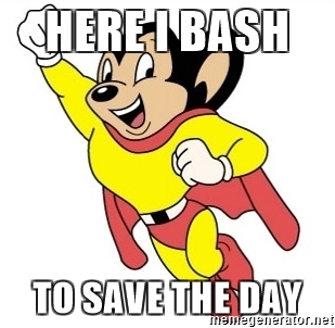 ‘Bash to the rescue!'